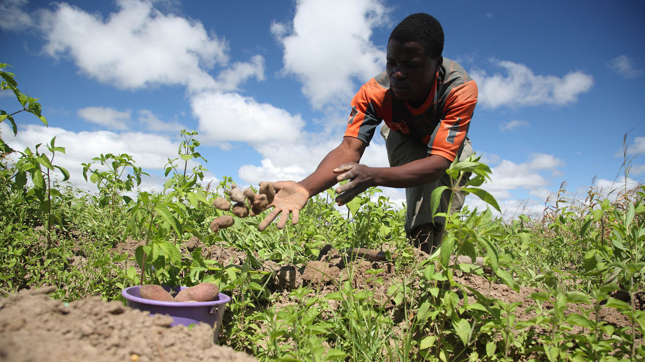 African-farmers