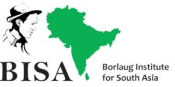Borlough Institute for South Asia